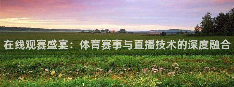 在线观赛盛宴：体育赛事与直播技术的深度融合