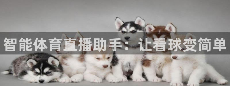 智能体育直播助手：让看球变简单
