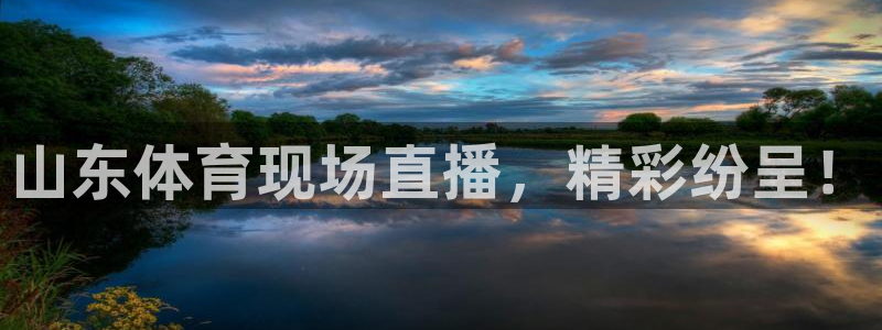 山东体育现场直播，精彩纷呈！