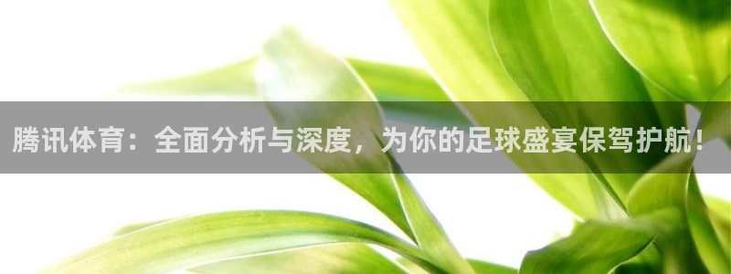 腾讯体育：全面分析与深度，为你的足球盛宴保驾护航！