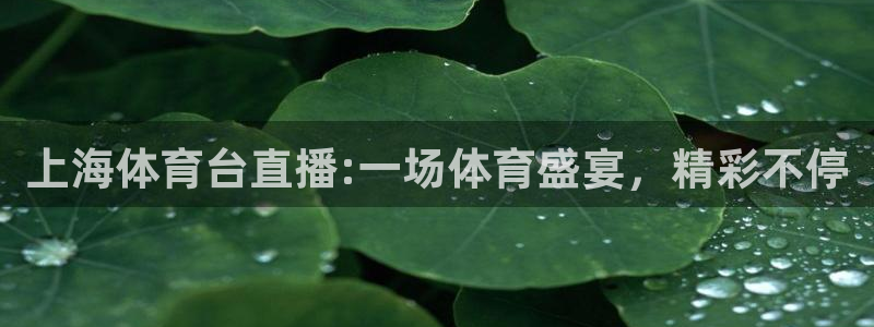 上海体育台直播:一场体育盛宴，精彩不停