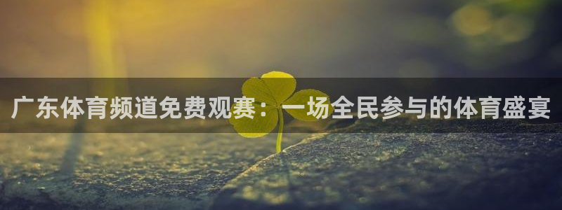 广东体育频道免费观赛：一场全民参与的体育盛宴