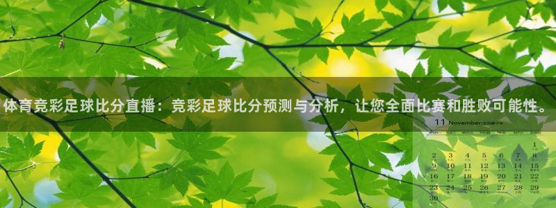 体育竞彩足球比分直播：竞彩足球比分预测与分析，让您全面比赛和胜败可能性。