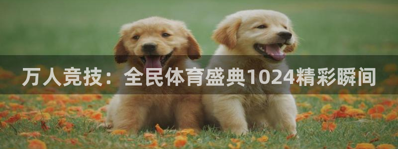 万人竞技：全民体育盛典1024精彩瞬间
