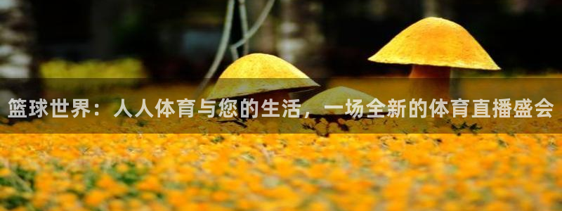 篮球世界：人人体育与您的生活，一场全新的体育直播盛会