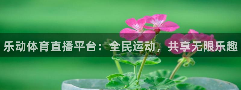 乐动体育直播平台：全民运动，共享无限乐趣