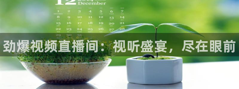 劲爆视频直播间：视听盛宴，尽在眼前