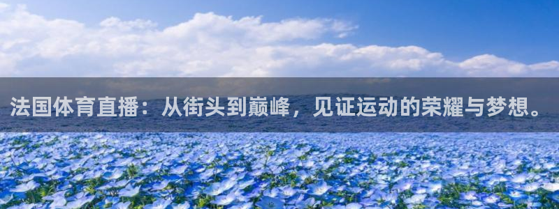 法国体育直播：从街头到巅峰，见证运动的荣耀与梦想。
