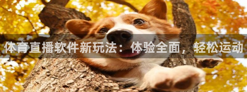 体育直播软件新玩法：体验全面，轻松运动