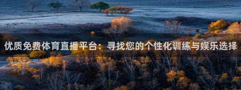 优质免费体育直播平台：寻找您的个性化训练与娱乐选择