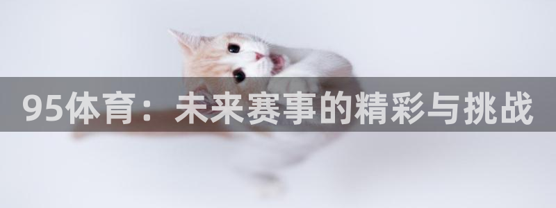 95体育：未来赛事的精彩与挑战