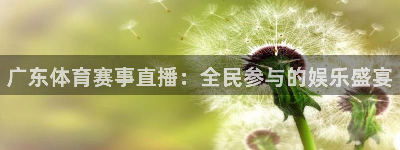 广东体育赛事直播：全民参与的娱乐盛宴